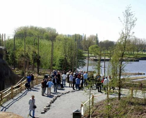 Steller-zeearenden-Koos-v-Leeuwen