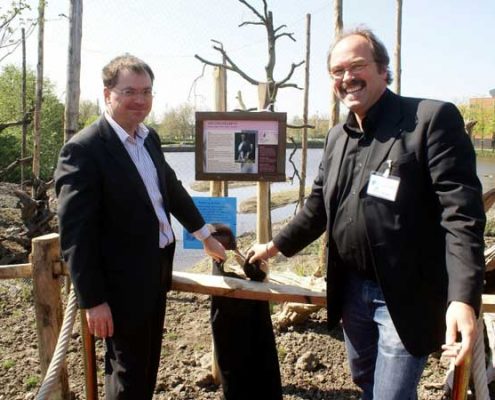 Steller-zeearenden4-Koos-v-Leeuwen