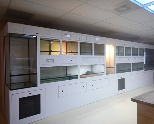 NBC_Diergaarde_Blijdorp_2019_David_Verhagen_01