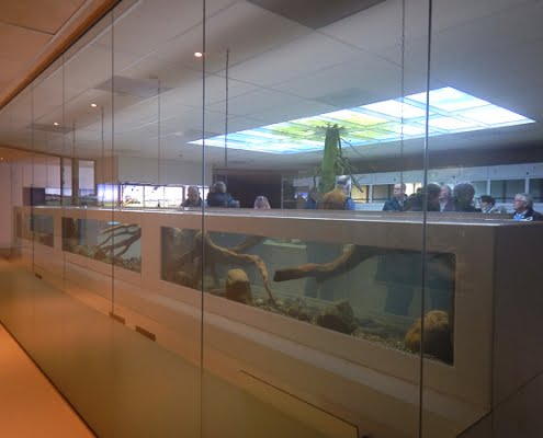 NBC_Diergaarde_Blijdorp_2019_David_Verhagen_02