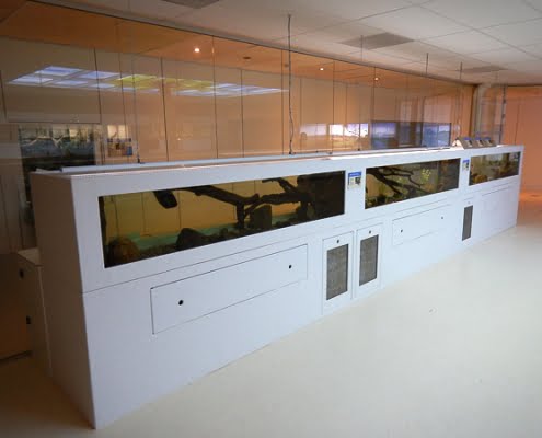 NBC_Diergaarde_Blijdorp_2019_David_Verhagen_03