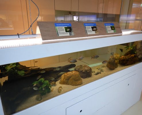 NBC_Diergaarde_Blijdorp_2019_David_Verhagen_04