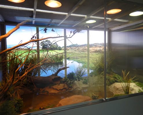 NBC_Diergaarde_Blijdorp_2019_David_Verhagen_05