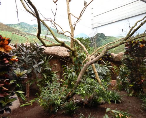 NBC_Diergaarde_Blijdorp_2019_David_Verhagen_06