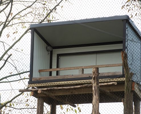 Diergaarde Blijdorp_gierenvoliere flitsactie_Greet van Norde_2011