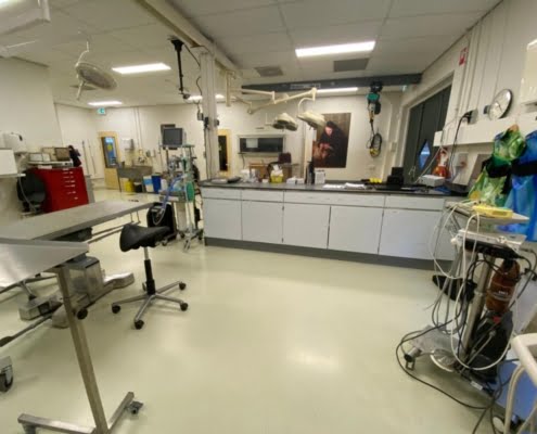 Rens Lindeboom - Diernkliniek Blijdorp2