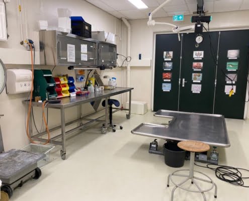Rens Lindeboom - Diernkliniek Blijdorp9