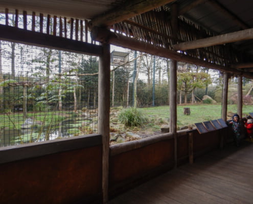 2022-11-26-gierenrots-kijkhut-David-Verhagen-02