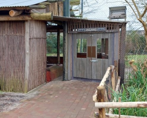 2023-gierenrots-toegang-Diergaarde-Blijdorp