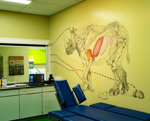 20230706_onderzoekscentrum-diergaarde-blijdorp_greet-van_norde_03