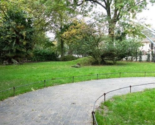 2024108-wallabyperk_Blijdorp_Greet-van-Norde_04