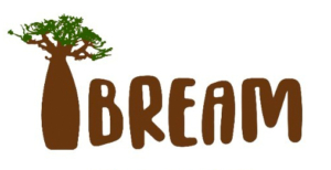 ibream-logo